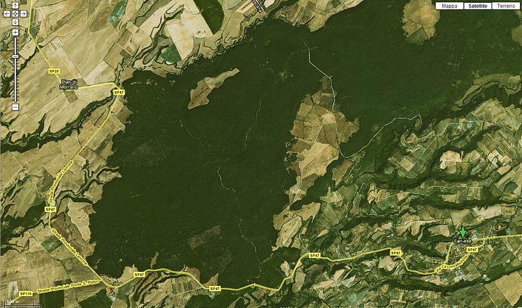 La Selva del Lamone ed il Sentiero dei Briganti